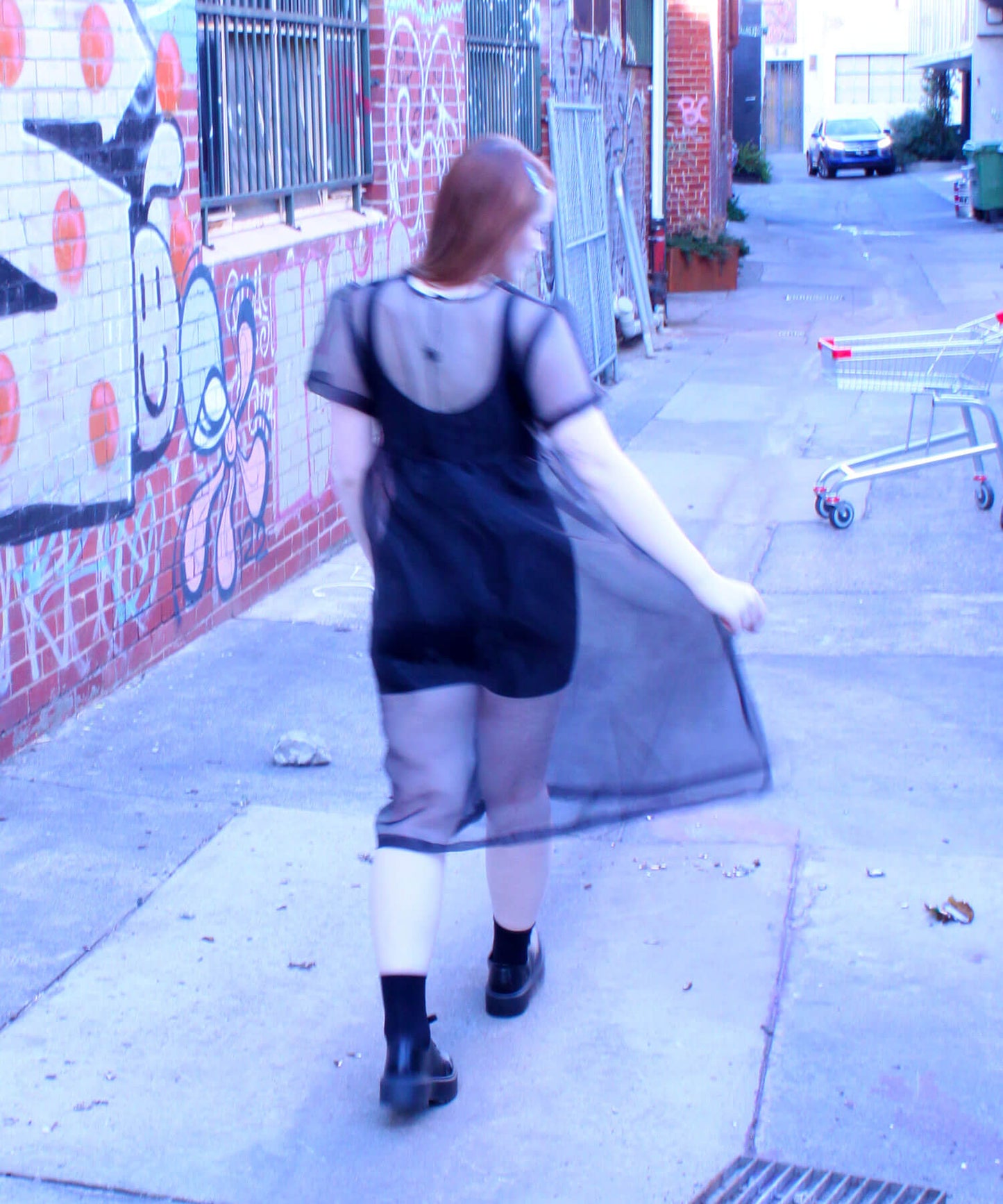 Birdie dress in black organza